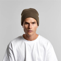 Gauge Beanie