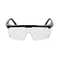 Shield Safety Glasses (12 Pack)